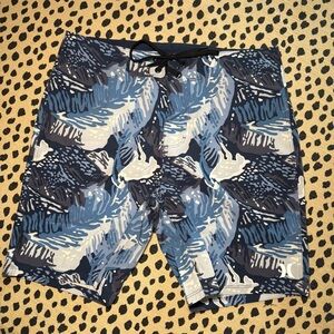 Hurley Men's Blue Patterned Board Shorts